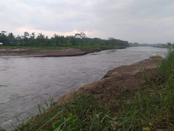 能俯瞰稻田的湍急的河水 — 图库照片