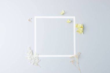 Kozmetik arka plan, çiçekler ve gri çerçeveli. Düz yat, boşluğu kopyala