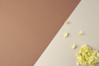 Kahverengi çiçekli kozmetik arka plan. Düz yat, boşluğu kopyala