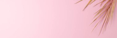 Pembe üzerinde palmiye yaprağı olan tropik doğal bir arka plan. Düz yat, boşluğu kopyala