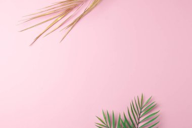 Pembe üzerinde palmiye yaprağı olan tropik doğal bir arka plan. Düz yat, boşluğu kopyala