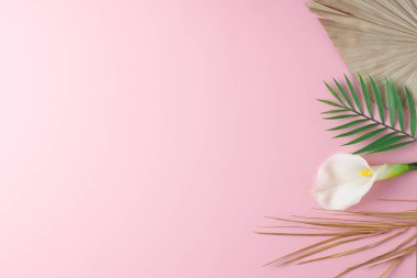 Pembe palmiye yaprağı ve çiçekli tropik doğal arka plan. Düz yat, boşluğu kopyala