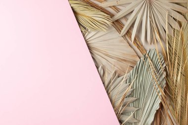 Pembe üzerinde palmiye yaprağı olan tropik doğal bir arka plan. Düz yat, boşluğu kopyala