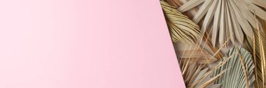 Pembe üzerinde palmiye yaprağı olan tropik doğal bir arka plan. Düz yat, boşluğu kopyala