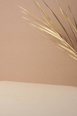 Kahverengi ve bej palmiye yapraklı tropik bir arka plan. Kapat, boşluğu kopyala