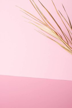 Pembe üzerinde palmiye yaprağı olan tropik bir arka plan. Kapat, boşluğu kopyala