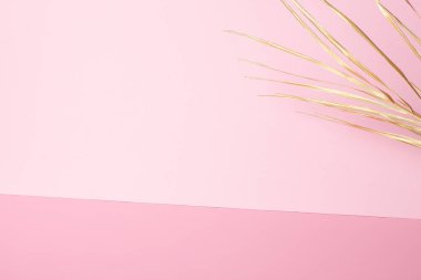 Pembe üzerinde palmiye yaprağı olan tropik bir arka plan. Kapat, boşluğu kopyala