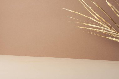 Kahverengi ve bej palmiye yapraklı tropik bir arka plan. Kapat, boşluğu kopyala