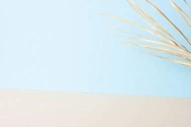 Mavi ve gri palmiye yapraklı tropik bir arka plan. Kapat, boşluğu kopyala