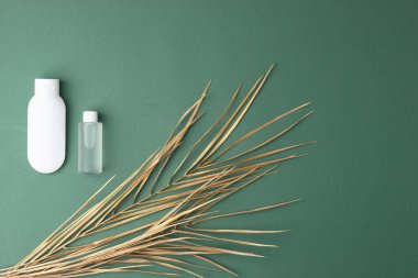 Palmiye yapraklı kozmetik cilt bakım ürünleri