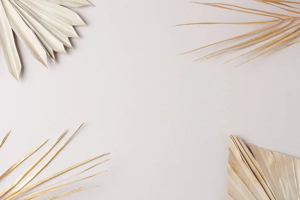 Tropical Natural Background Palm Leaf Grey Flat Lay Copy Space — Stock Photo, Image