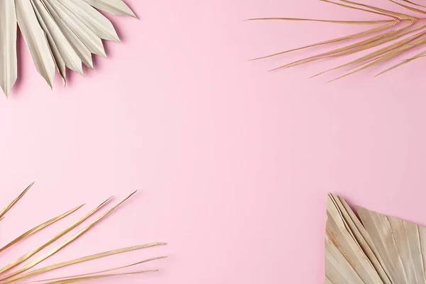 Tropical Natural Background Palm Leaf Pink Flat Lay Copy Space — Stock Photo, Image