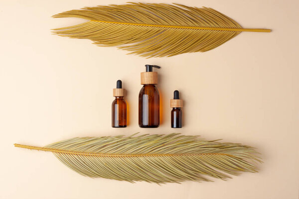 Косметические средства для ухода за кожей с пальмовым листом на пастельно-бежевом фоне. Квартира, копировальное пространство