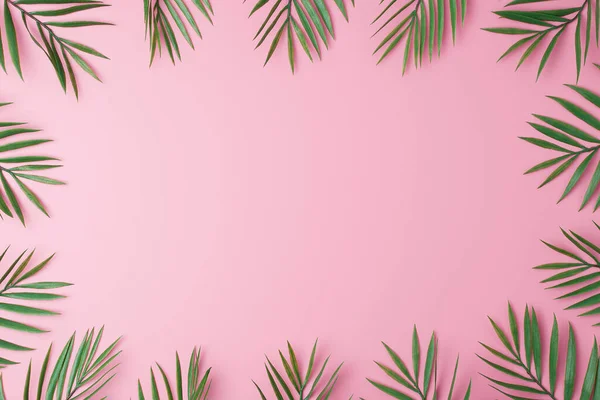 Pink Background Palm Leaves Flat Lay Copy Space — Stock Photo, Image