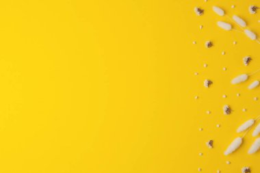 Sarı çiçekli kozmetik arka plan. Düz yat, boşluğu kopyala