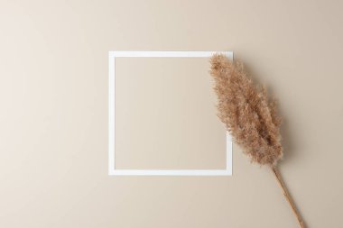 Beyaz çerçeveli kozmetik arka plan ve pastel bej pampalar. Düz yat, boşluğu kopyala