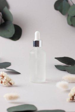 Gri üzerine doğal okaliptüs içeren kozmetik şişesi. Kapat.