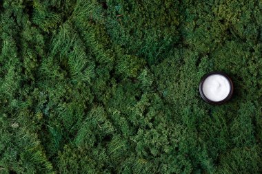 Yeşil yosun üzerine bir kavanoz kozmetik kremi. Düz yat, boşluğu kopyala.