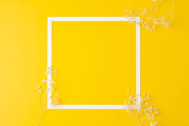 Sarı arka planda çingenenin beyaz çerçevesi. Düz yat, boşluğu kopyala.