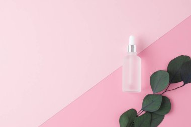 Pembe arka planda okaliptüs olan kozmetik şişesi. Düz yat, boşluğu kopyala