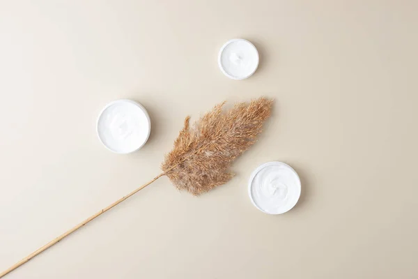 Jars of cosmetic cream with pampas on pastel beige background. Flat lay