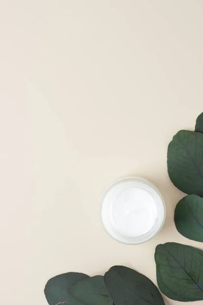 Jar Cosmetic Cream Eucalyptus Pastel Beige Background Flat Lay Copy — Stock Photo, Image