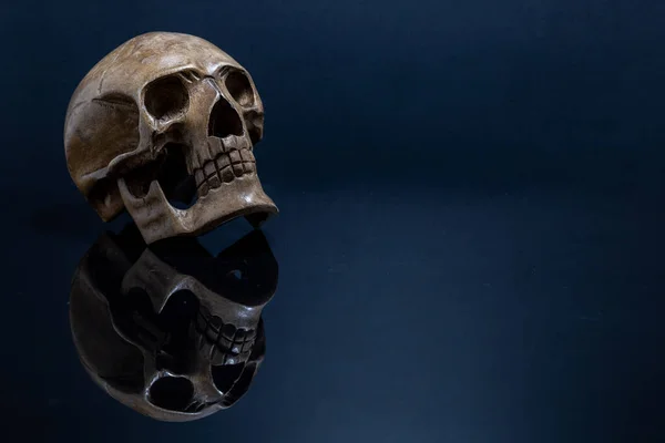 Wood Skull Dark Reflective Background — Stock Photo, Image