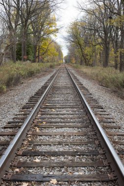 Ormanın içinden raylar