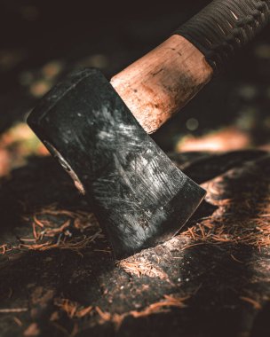 Baltayı sapla. Odun kesiyorum.