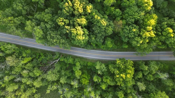 Drone Image Winding Road Though Heavy Forest 스톡 사진