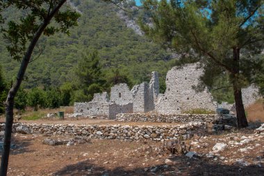Antik Olimpos şehrinin kalıntılarının iki ağaç arasındaki görüntüsü, Antalya 'nın Lycia yolu üzerindeki antik Yunan ve Roma şehri