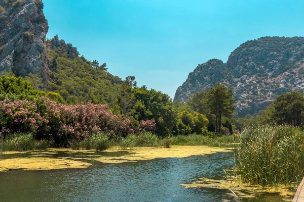 Olimpos Şehri, Olimpos dağlarından akan nehrin güzel manzarası Cirali, Kemer, Antalya