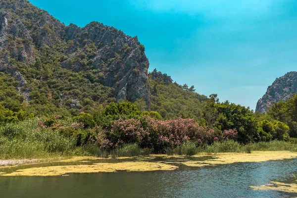 Olimpos Şehri, Olimpos dağlarından akan nehrin güzel manzarası Cirali, Kemer, Antalya