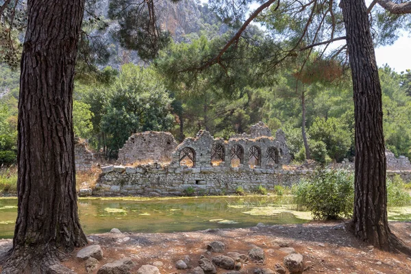 Antik Olimpos şehrinin kalıntılarının iki ağaç arasındaki görüntüsü, Antalya 'nın Lycia yolu üzerindeki antik Yunan ve Roma şehri