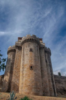 İspanya 'nın terk edilmiş Granadilla köyündeki eski şato.