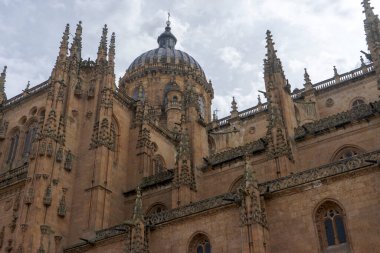 İspanya 'nın Salamanca şehrinde Bakire Varsayımı Katedrali