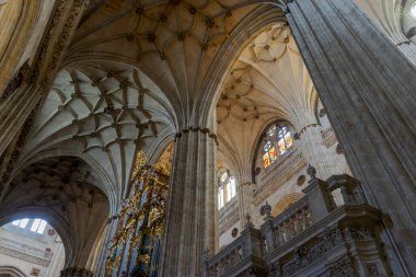 İspanya, Salamanca 'nın güzel katedralinin ayrıntıları.