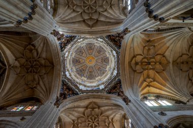 İspanya, Salamanca 'nın güzel katedralinin ayrıntıları.