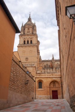 İspanya 'nın Salamanca şehrinde Bakire Varsayımı Katedrali