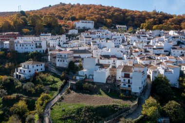 Malaga iline bağlı Genal Vadisi, Pujerra belediyeleri