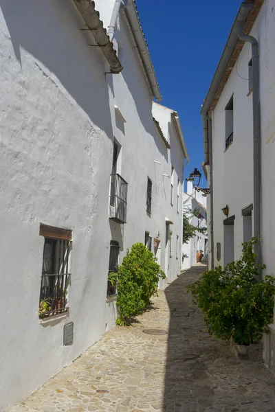 Bella Strada Nel Comune Castellar Frontera Provincia Cadice Andalusia — Foto Stock