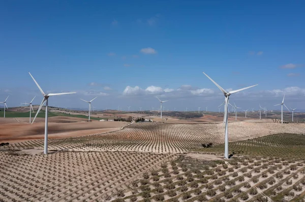 Field Windmills Renewable Energies — ストック写真