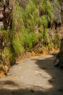 Nerja 'daki Chillar nehri boyunca yürüyüş rotası.