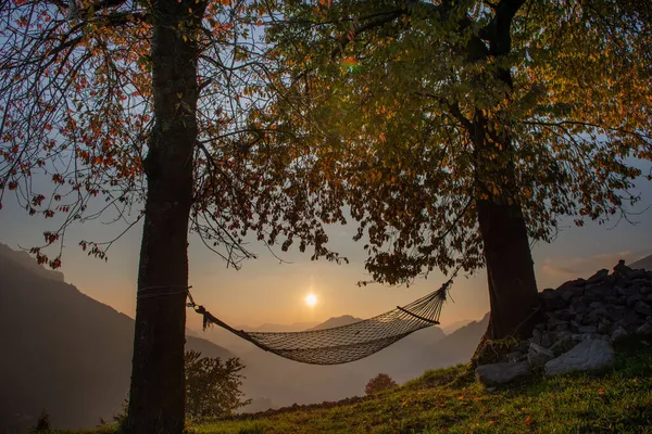 Hängematte Hängt Bei Sonnenuntergang Zwischen Bäumen — Stockfoto