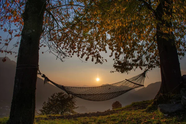 Hängematte Hängt Bei Sonnenuntergang Zwischen Bäumen — Stockfoto