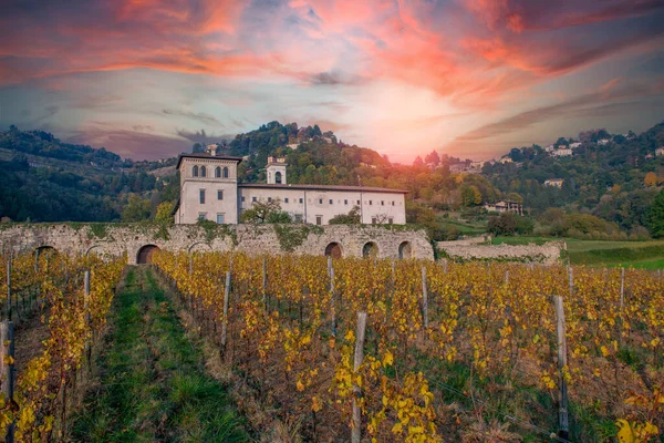 Vineyard Monastery Altino Bergamo — Stock Photo, Image