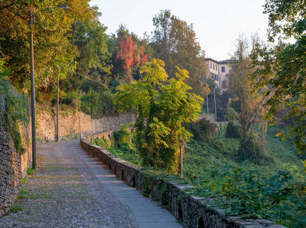 Calle Peatonal Para Llegar Antigua Bergamo — Foto de Stock