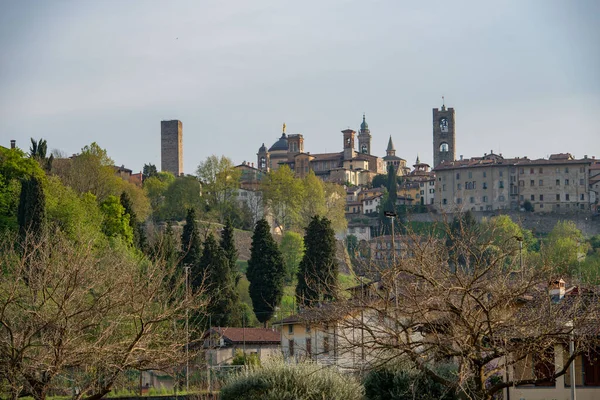 Bergamo Parte Vecchia Skyline Con Alberi Primavera — Foto Stock