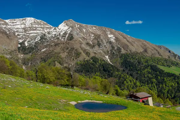 Lago Montagna Circondato Una Rigogliosa Vegetazione — Foto Stock