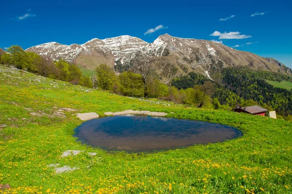 Lago Montagna Circondato Una Rigogliosa Vegetazione — Foto Stock